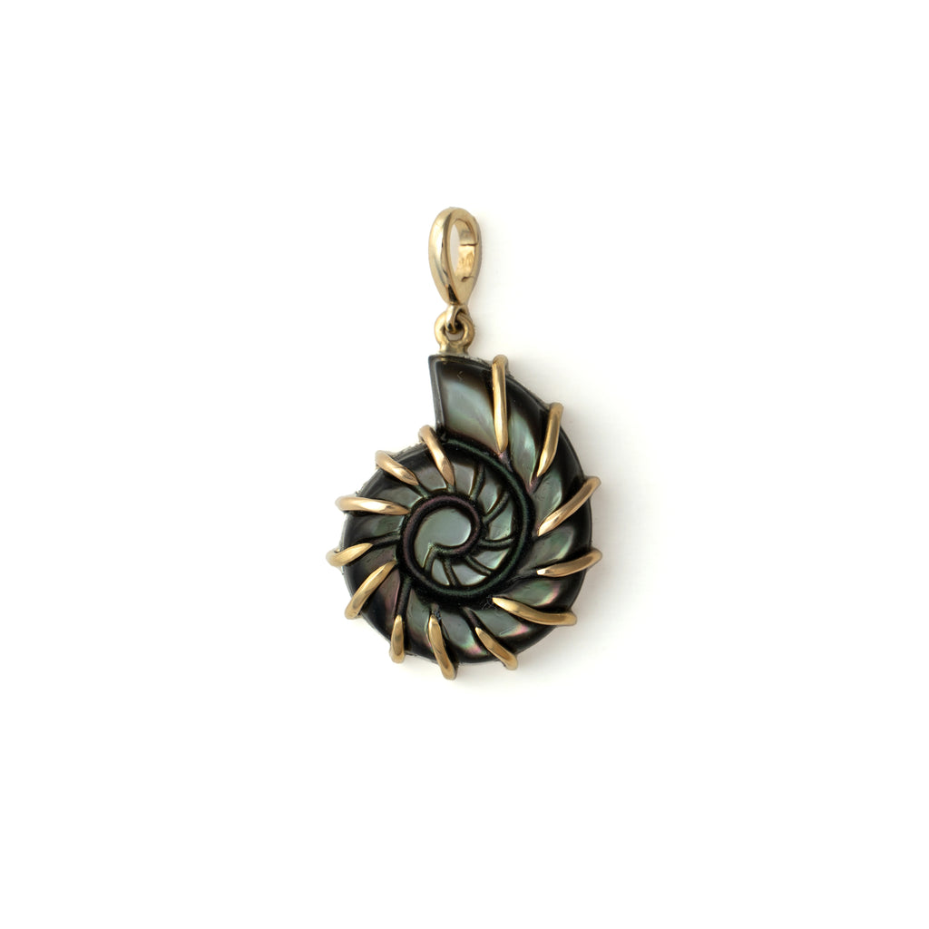 The Ursula Nautilus Pendant in 14K Gold